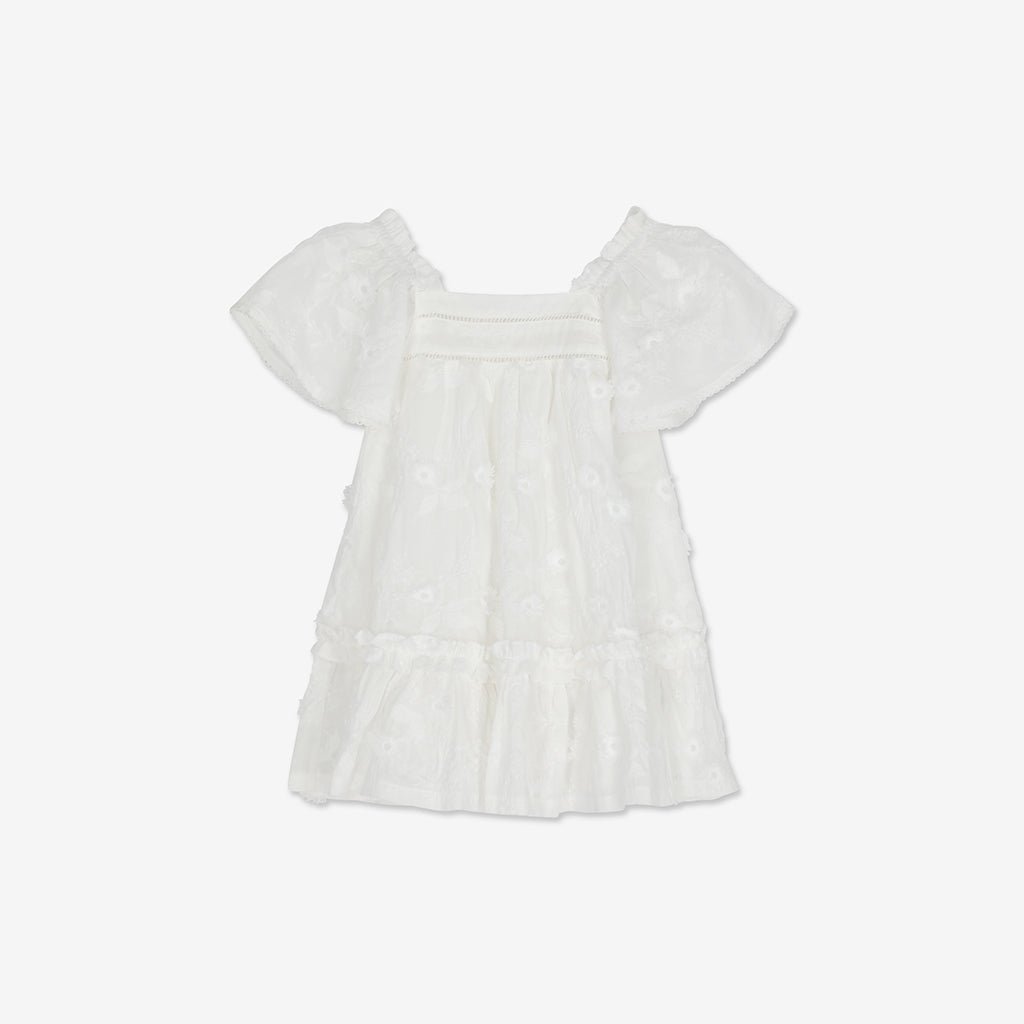 Embroidered Short seeve Mini Dress H
