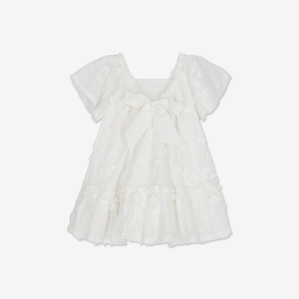 Embroidered Short seeve Mini Dress H