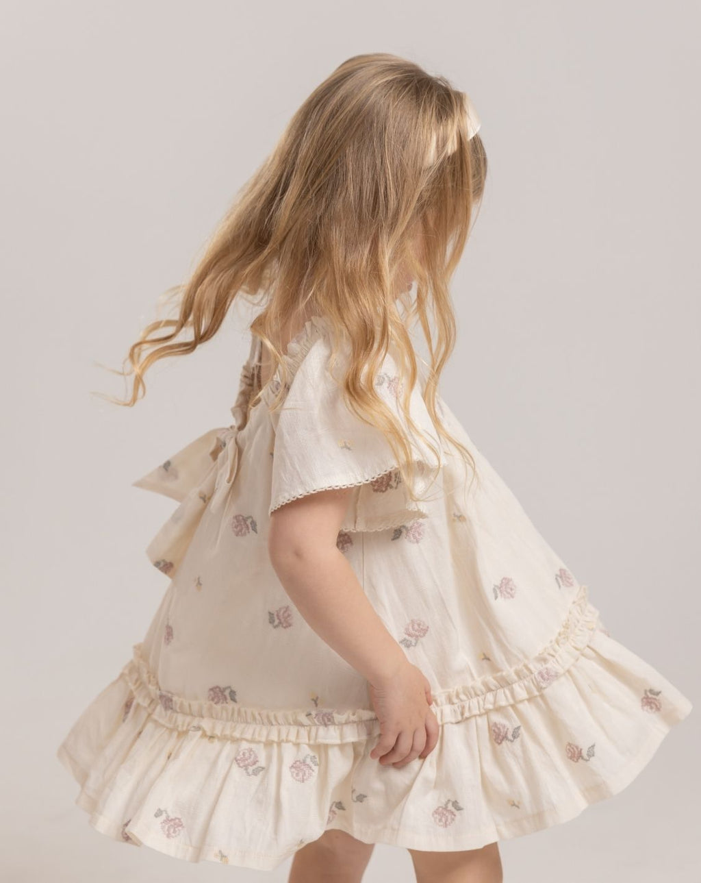 Embroidered Short seeve Mini Dress H