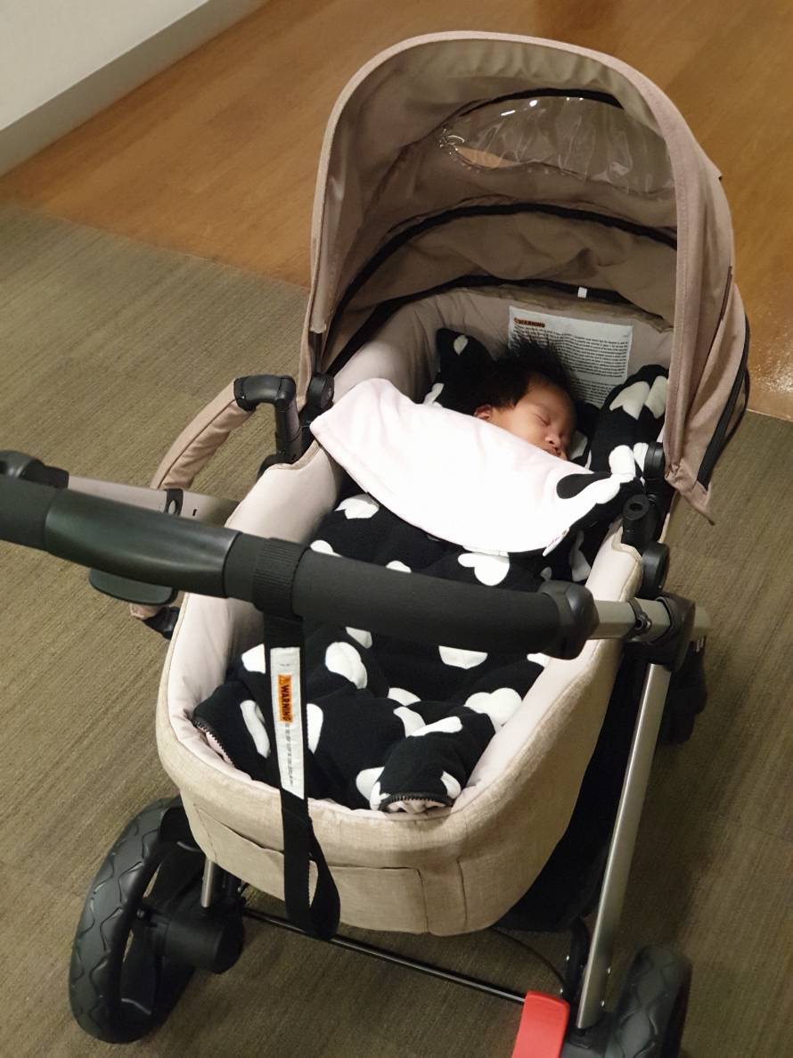 Cozy Footmuff for Stroller - Fleece