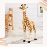Standing Baby Giraffe